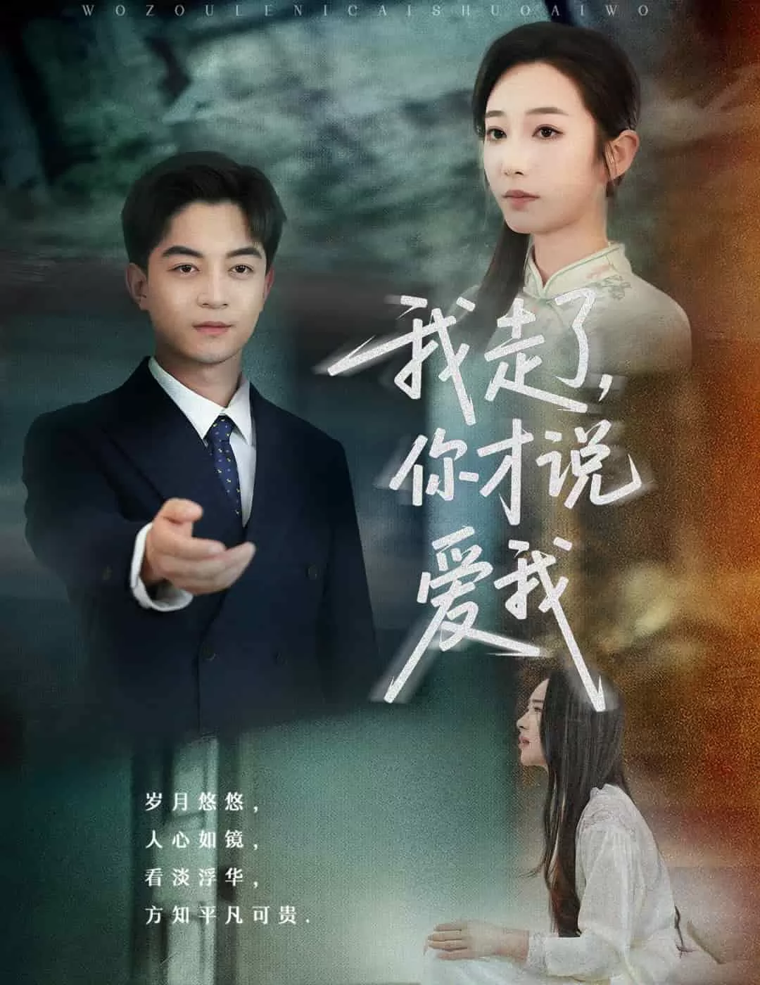 我走了你才说爱我